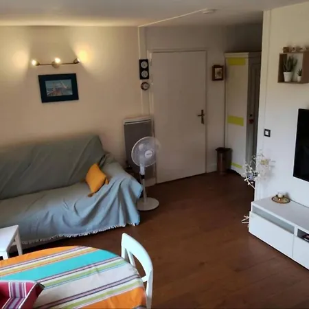 Res. Amarine. Appt 3 Pieces Terrasse Piscine Collective Chauffee Wifi Apartment Capbreton